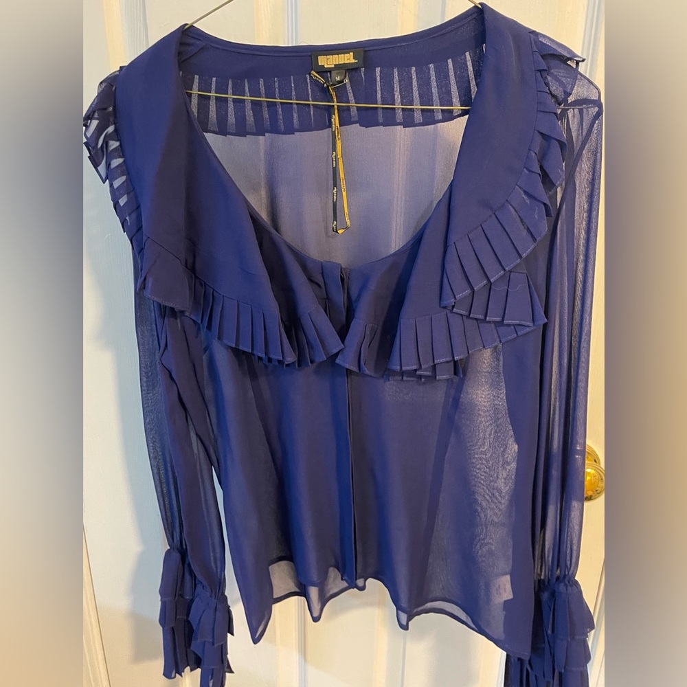 Silk sheer top with pleated sleeves and neckline